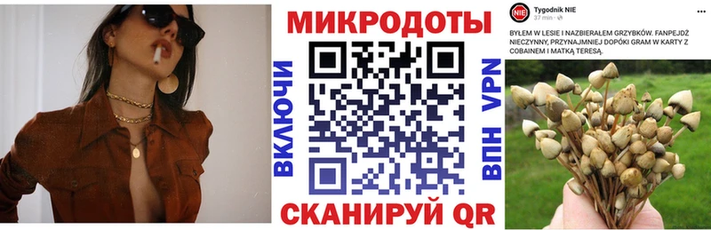 mega ONION  Алатырь  Галлюциногенные грибы Magic Shrooms 